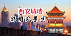 蛋插逼网站啊啊啊啊嗯啊视频中国陕西-西安城墙旅游风景区